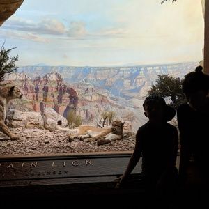 Meet your Posher, Mindy